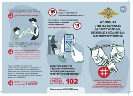 Уголовная ответственность за преступления, связанные с незаконным оборотом наркотиков